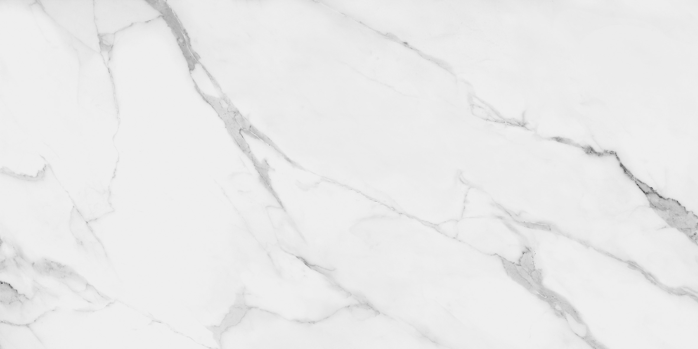 CLASSIC ESTATUARIO - Image 2