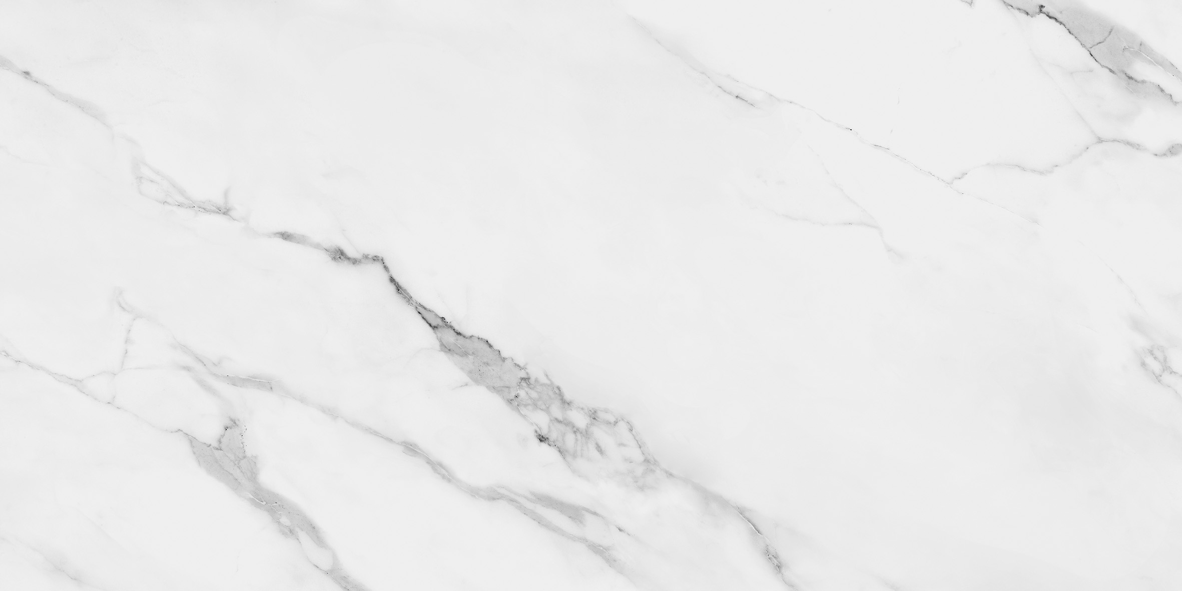 CLASSIC ESTATUARIO - Image 3