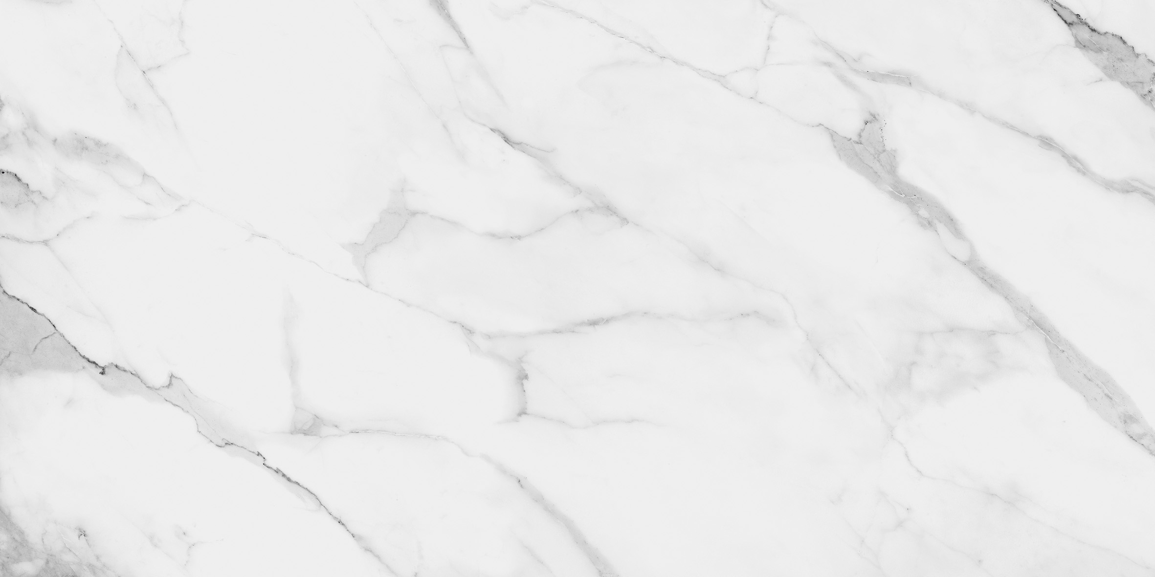 CLASSIC ESTATUARIO - Image 4