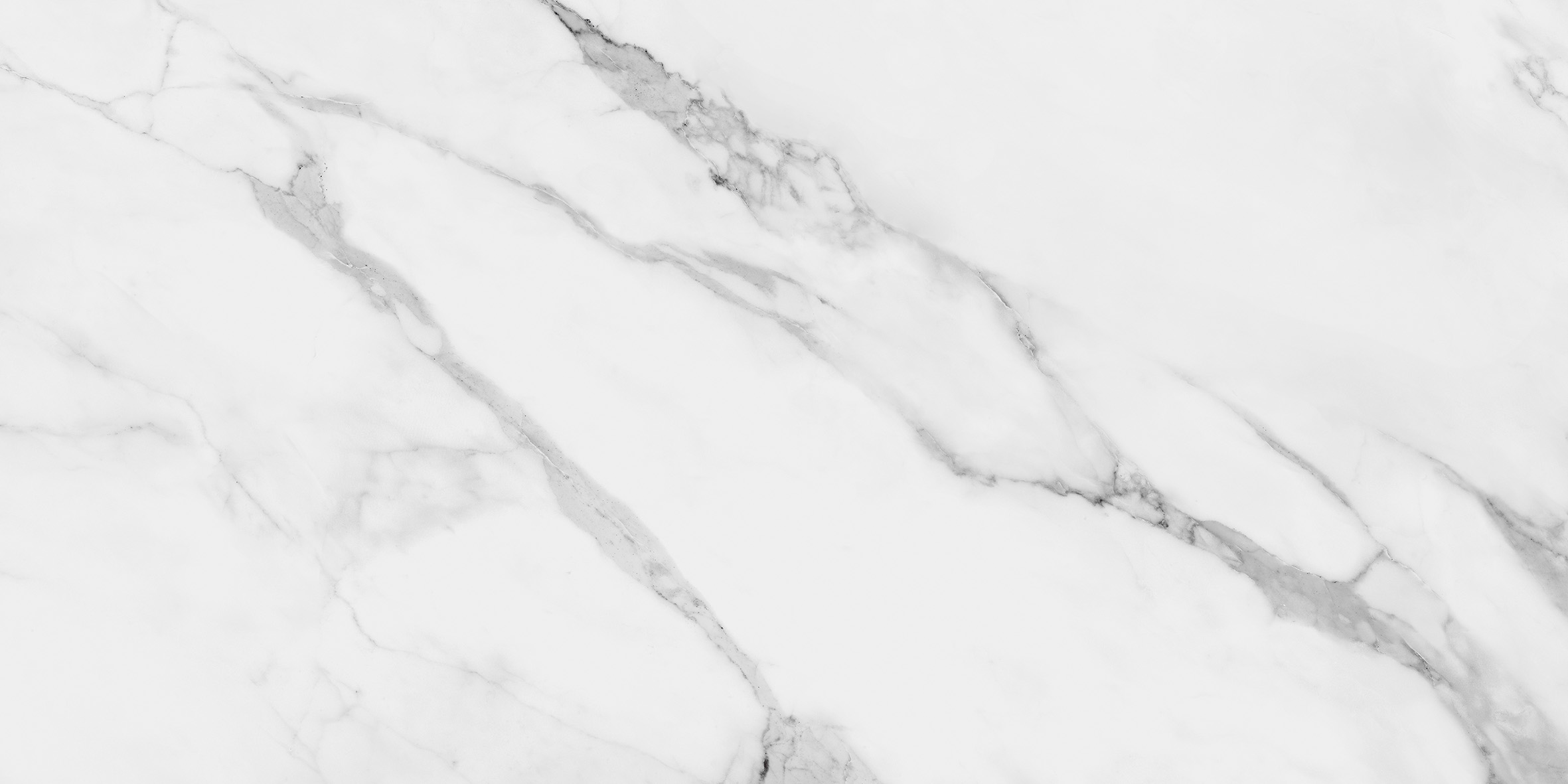 CLASSIC ESTATUARIO - Image 5