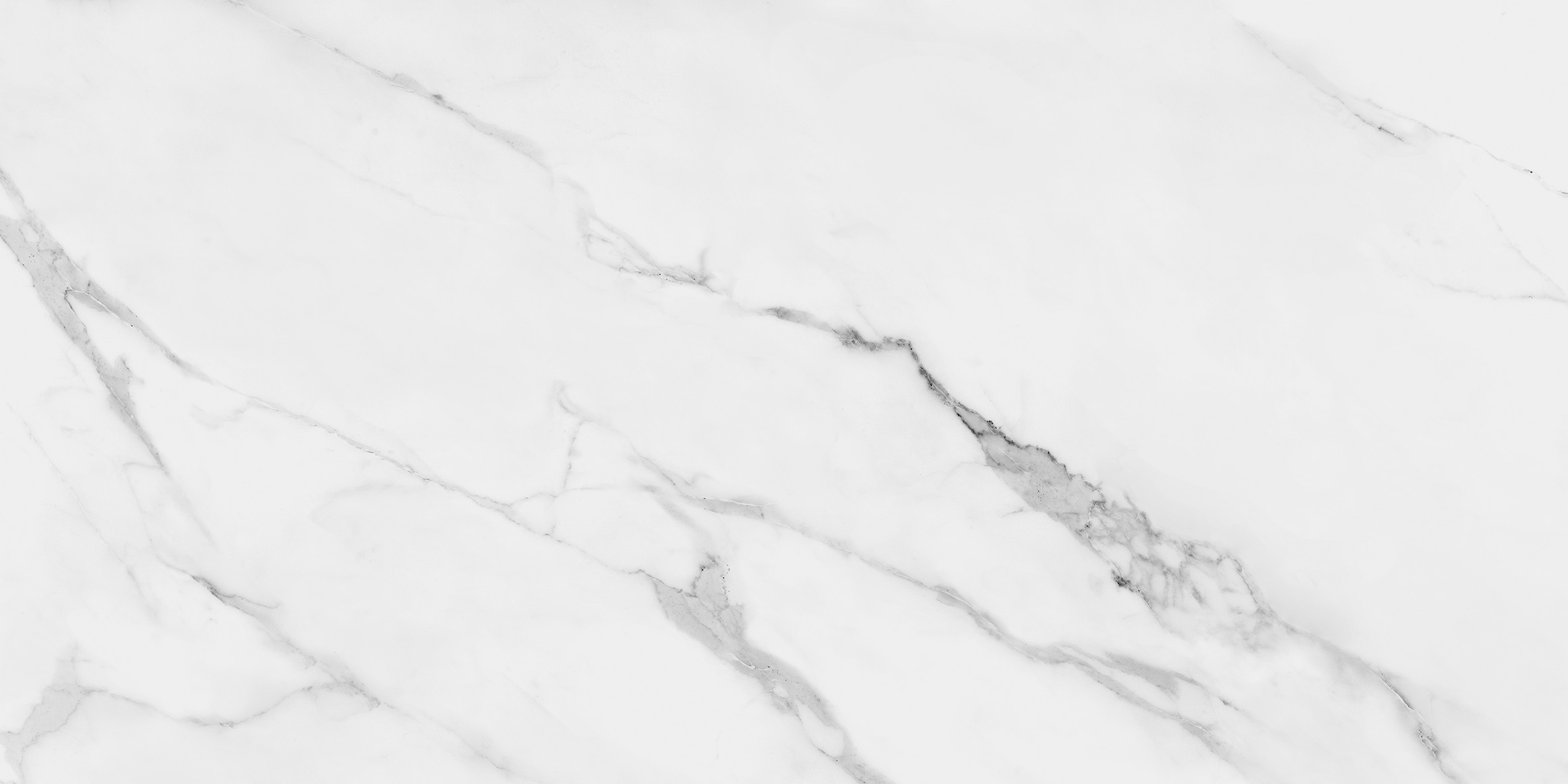 CLASSIC ESTATUARIO - Image 6