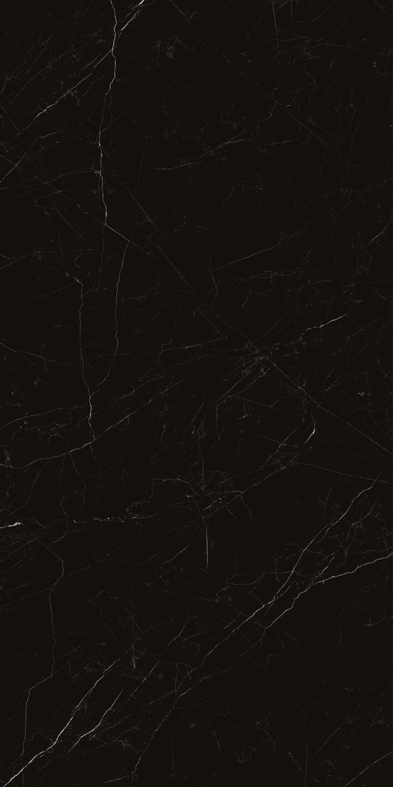 BELGIUM BLACK - Image 2