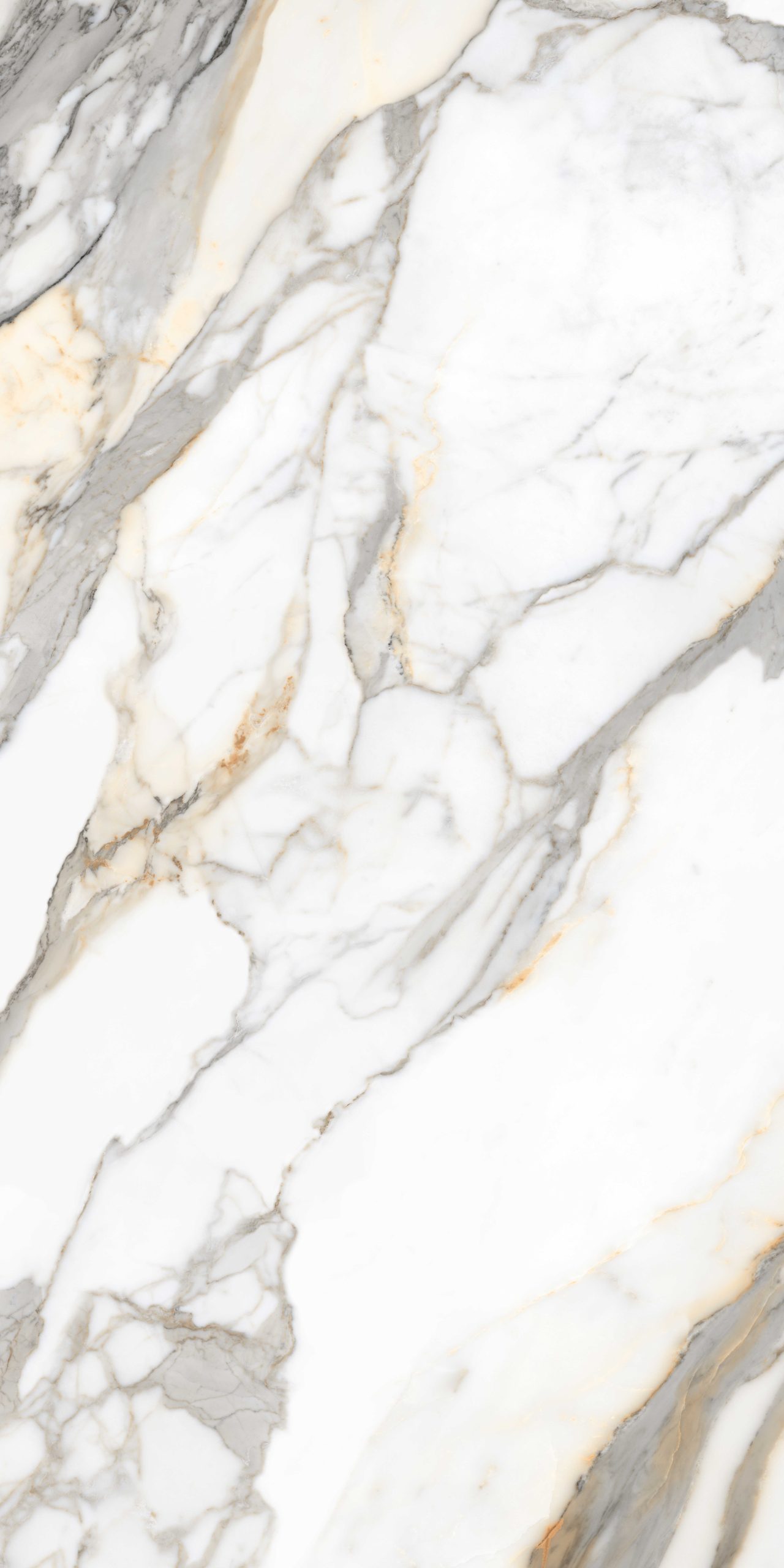 CALACATTA ROYALE - Image 2