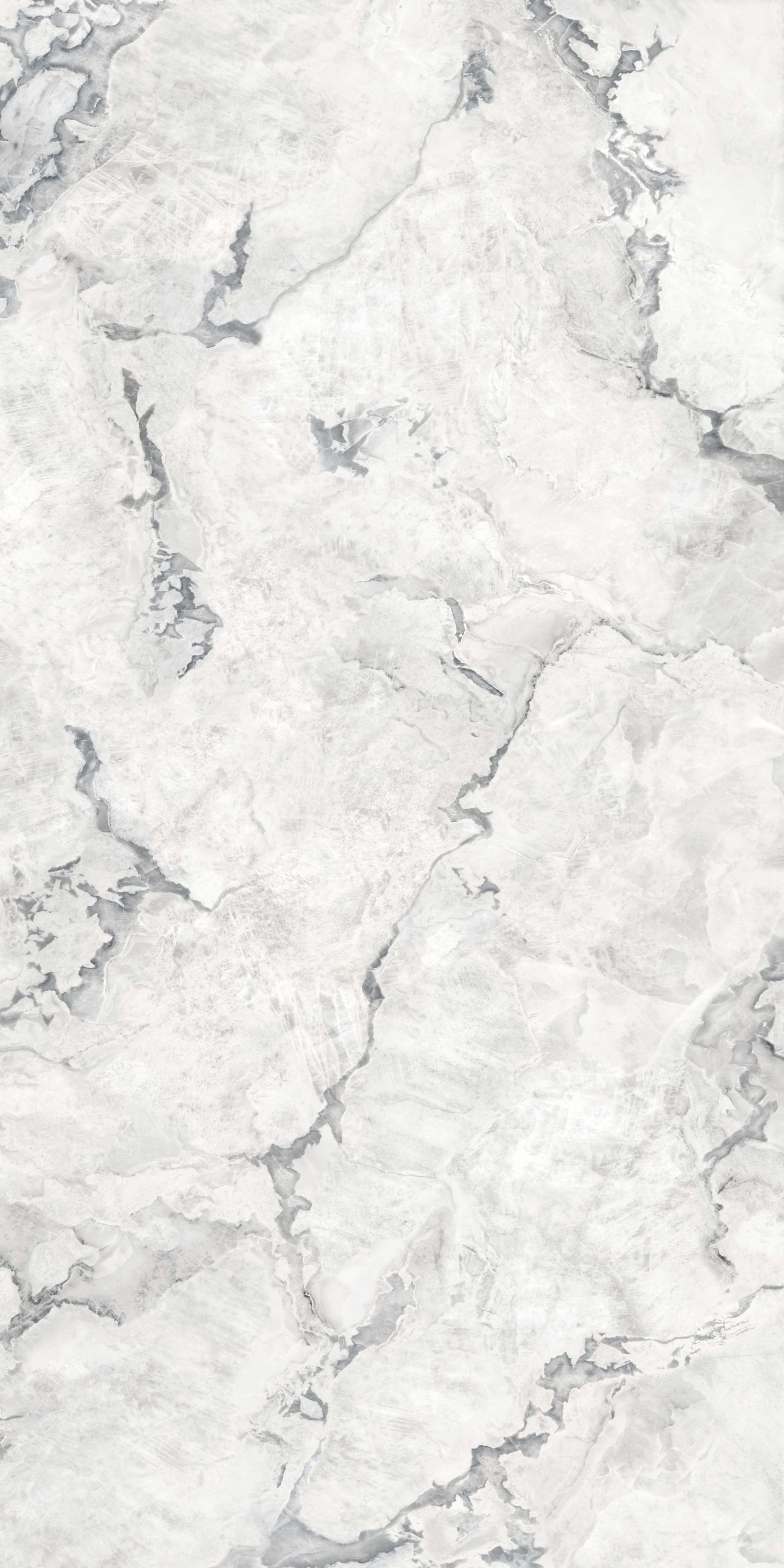 OYSTER BIANCO - Image 2