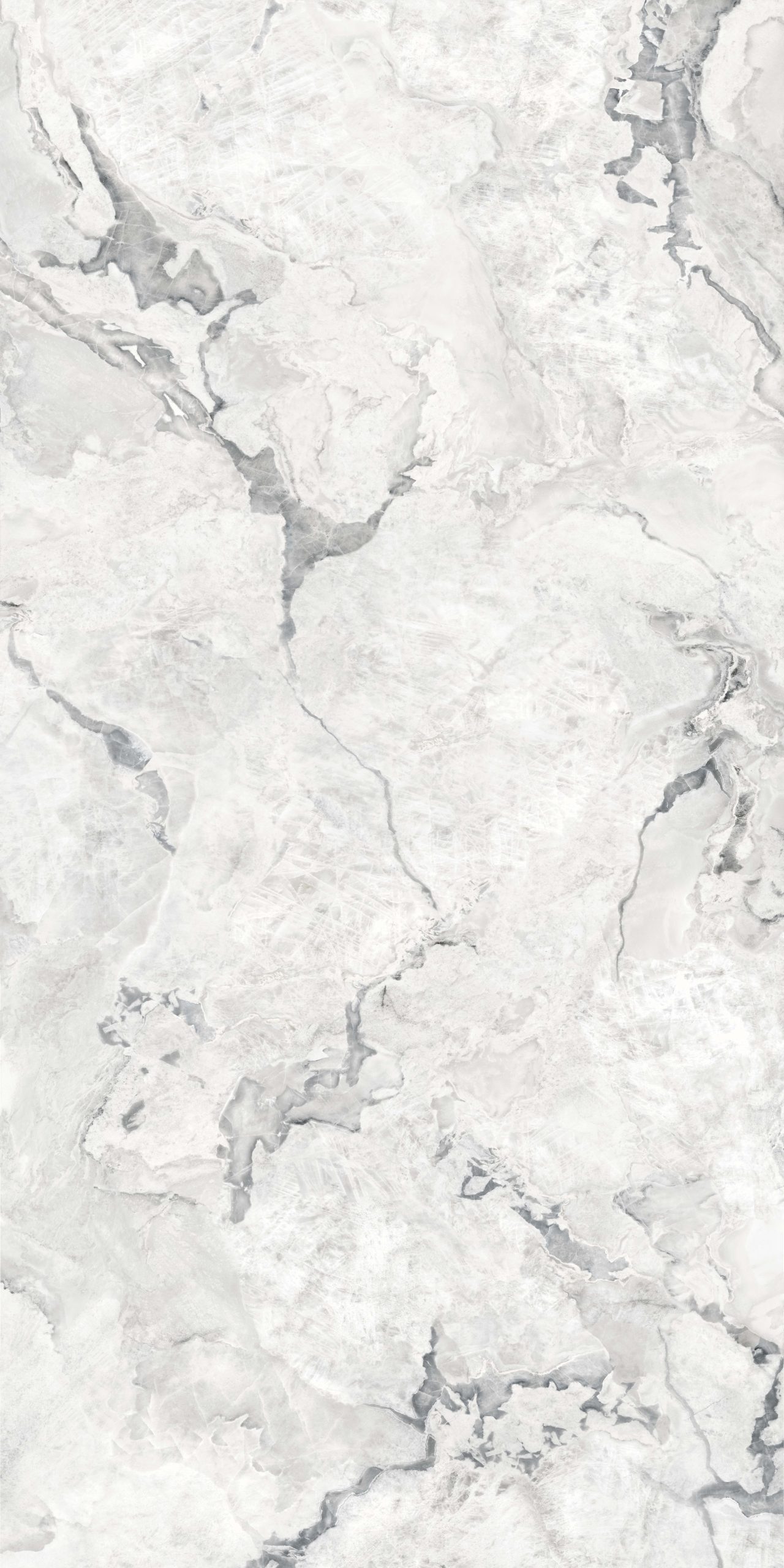 OYSTER BIANCO - Image 3