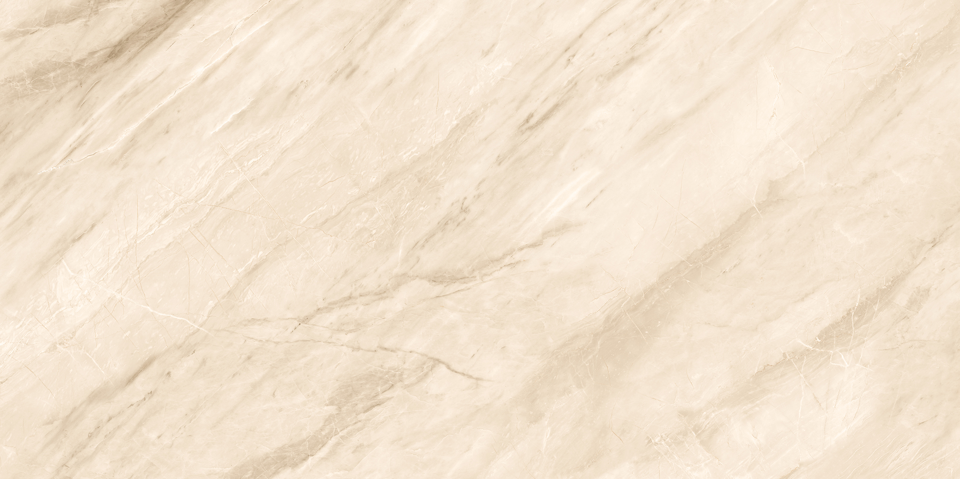 IRIDIUM AROMA BEIGE - Image 3