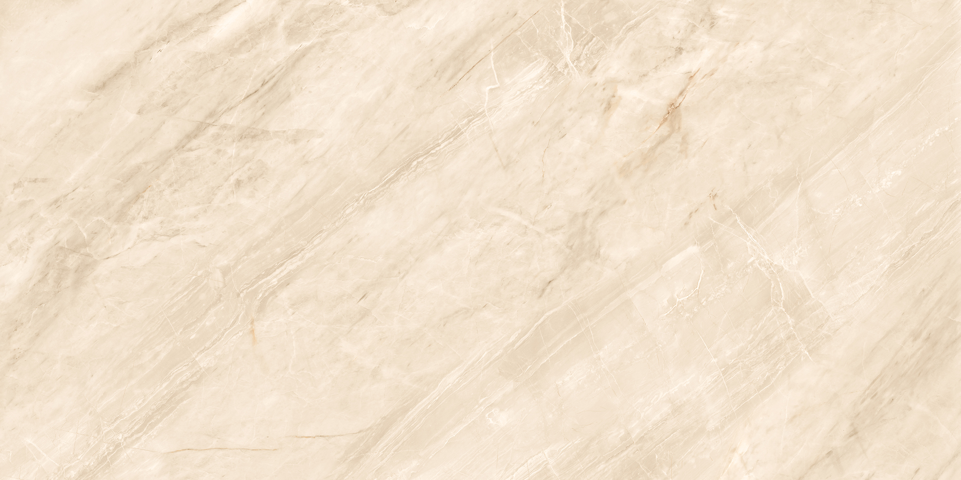 IRIDIUM AROMA BEIGE - Image 4