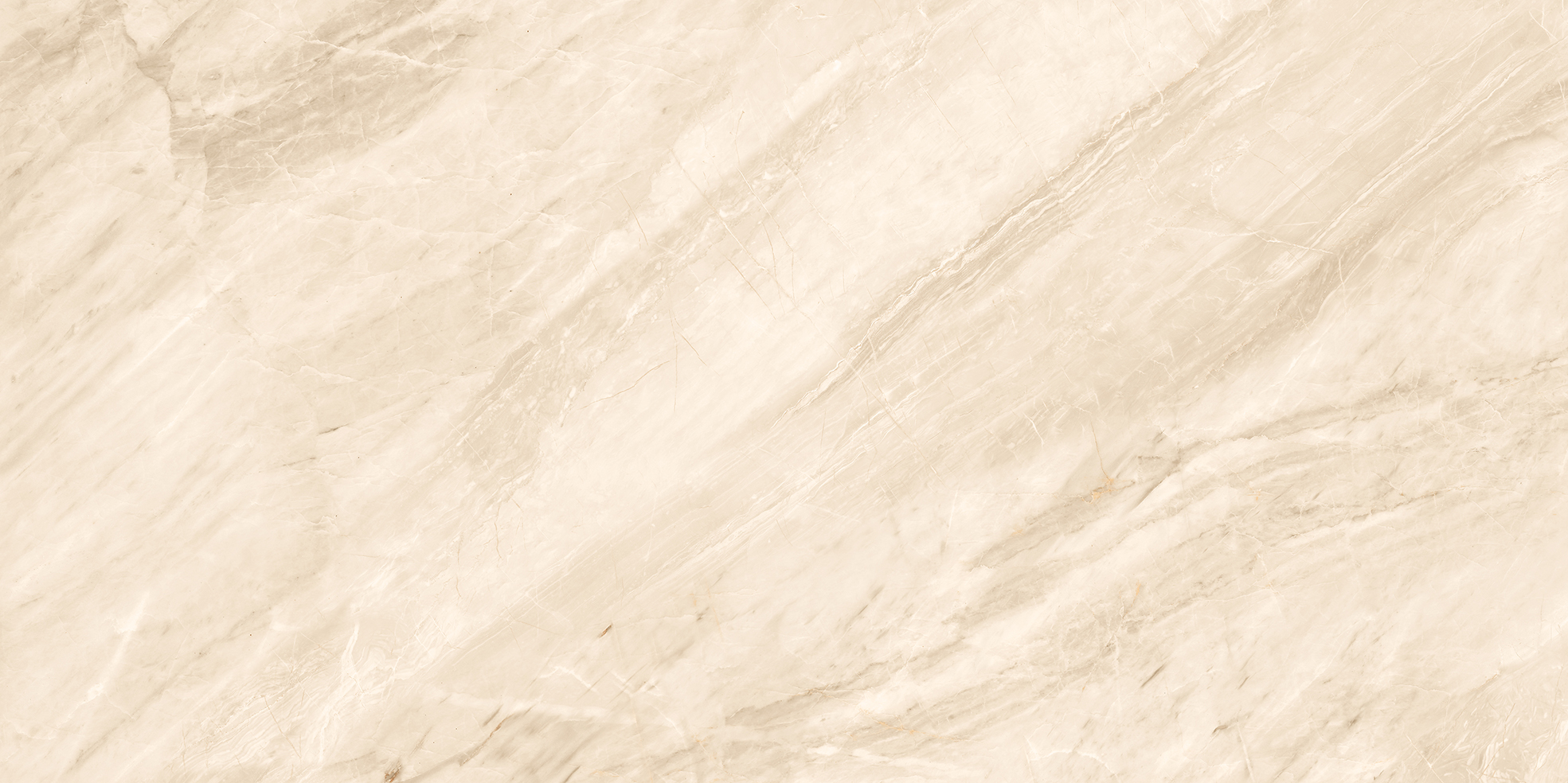 IRIDIUM AROMA BEIGE - Image 5