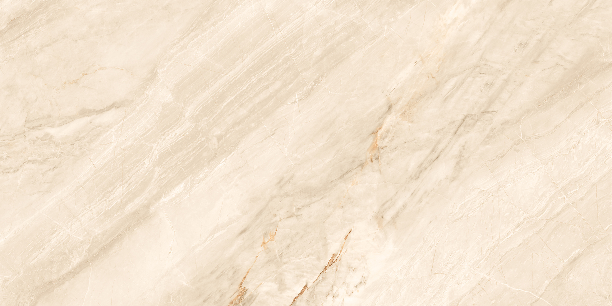 IRIDIUM AROMA BEIGE - Image 6